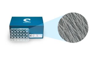 Cellevate Cellevat3d