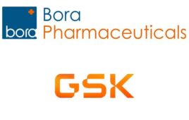 Bora Pharmaceuticals GSK